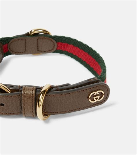 gucci collier|Gucci leather collars.